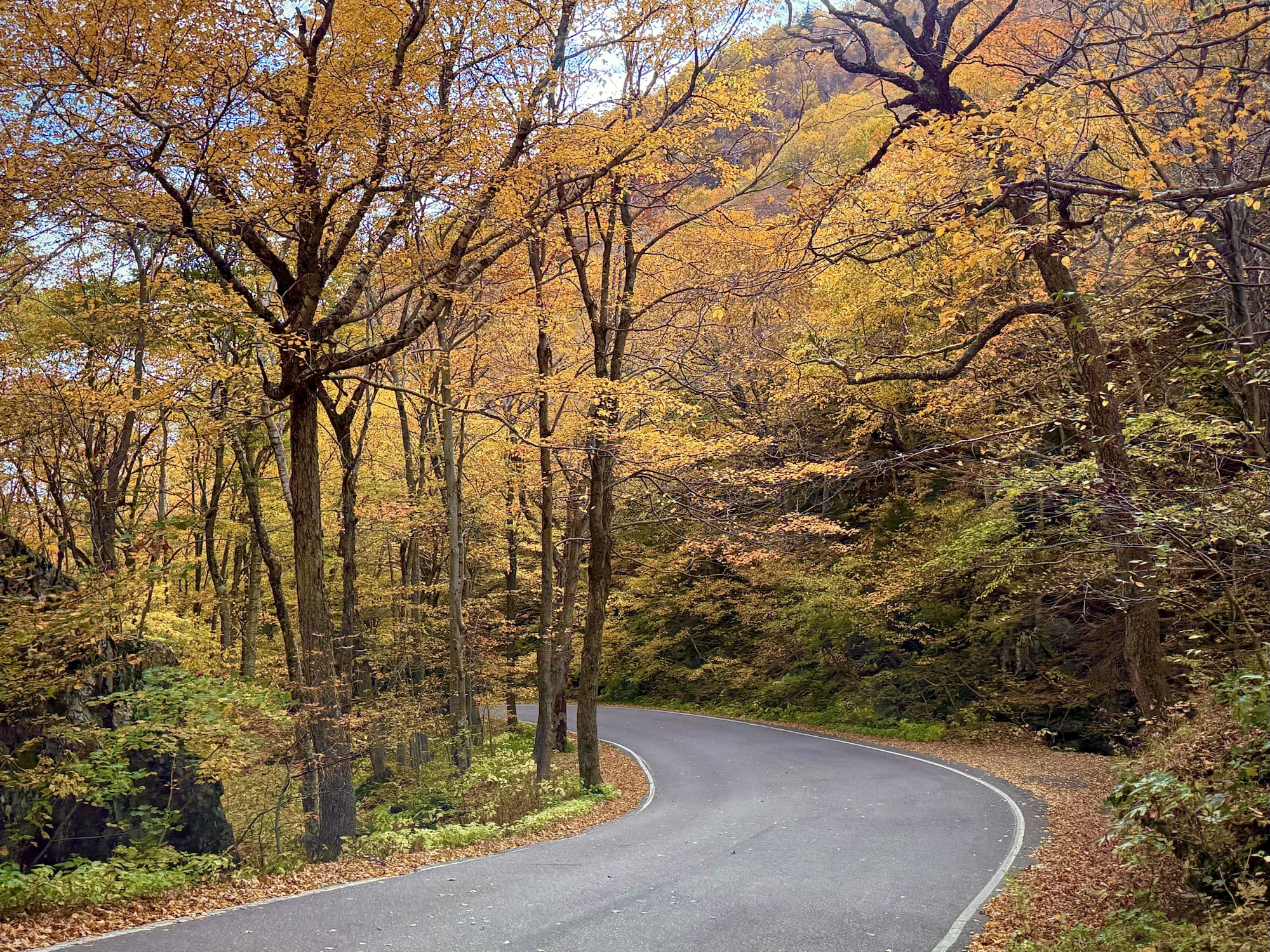 Traveling Vermont & New Hampshire in Peak Fall Foliage
